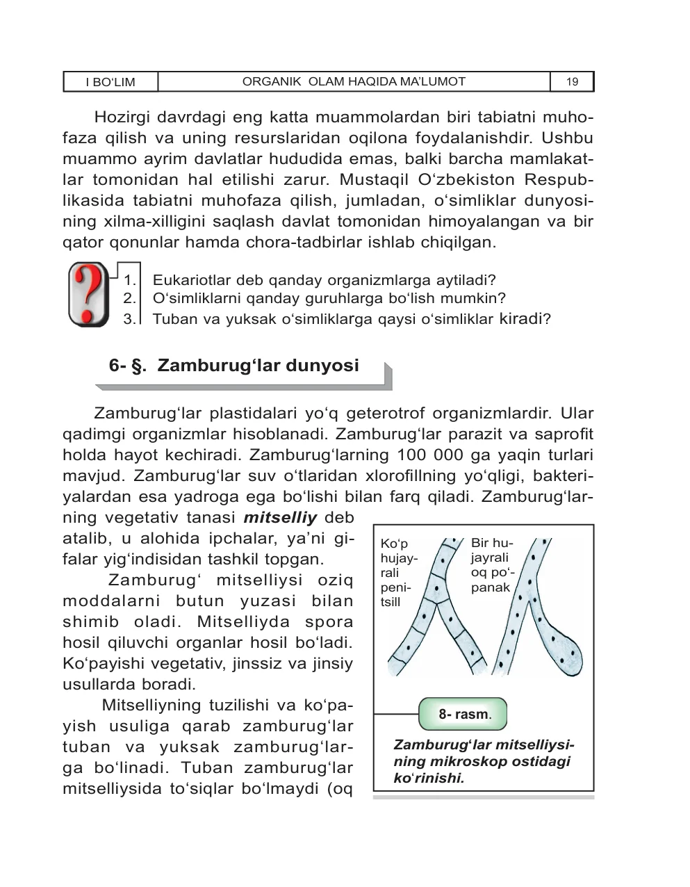 Zamburug‘lar dunyosi