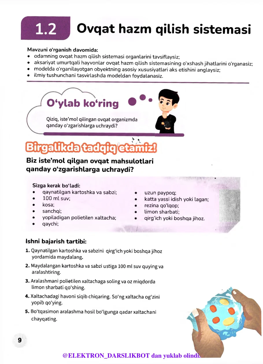 Ovqat hazm qilish sistemasi