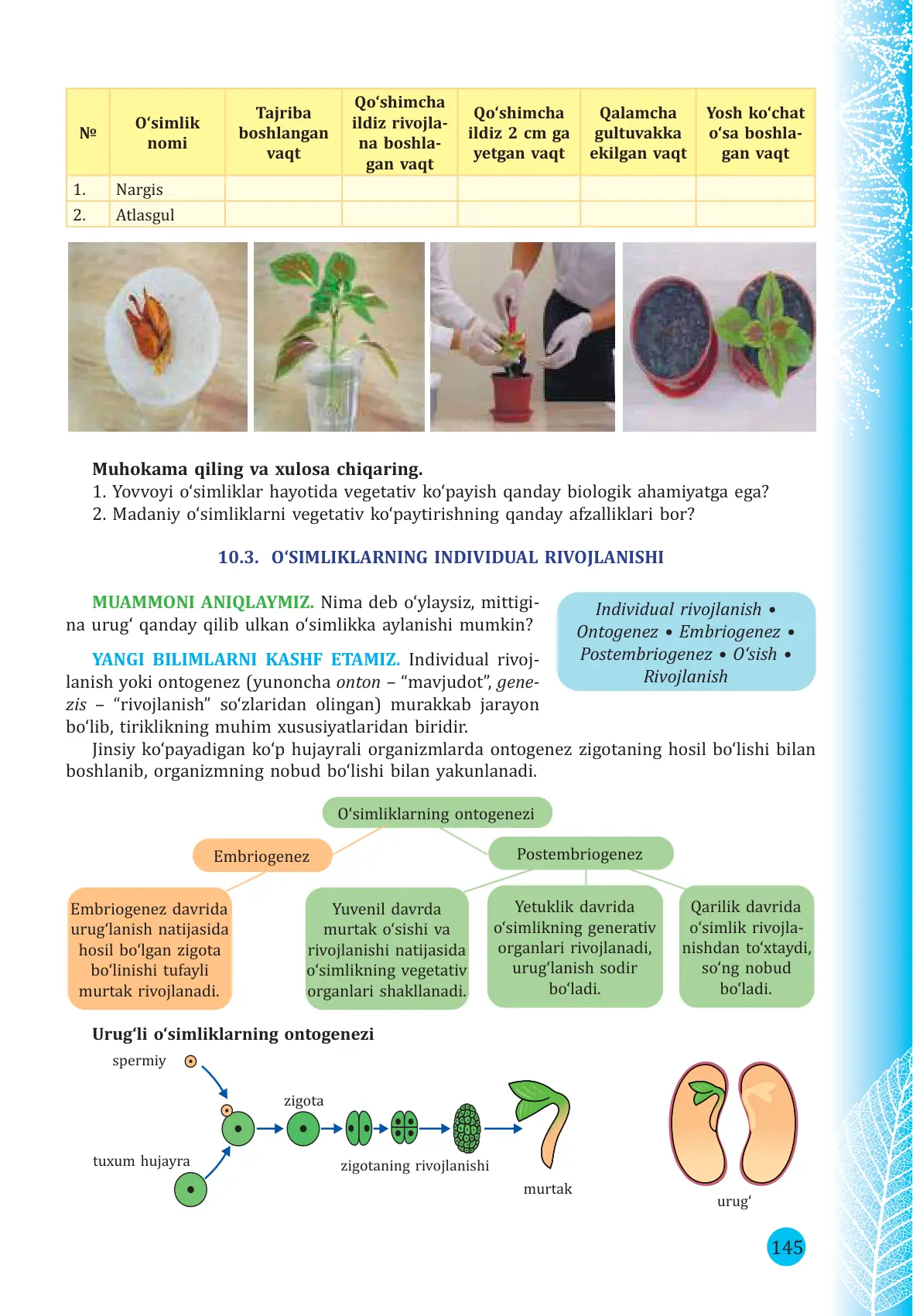O'simliklarning individual rivojlanishi