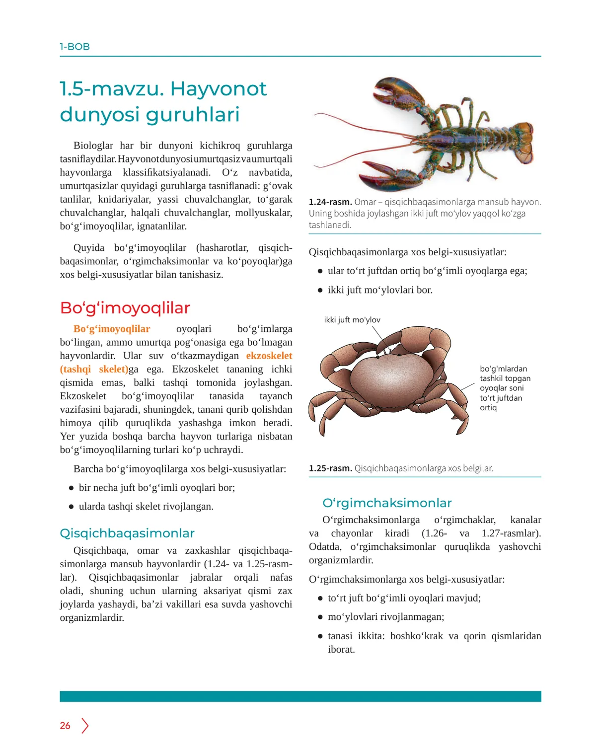 Hayvonot dunyosi guruhlari