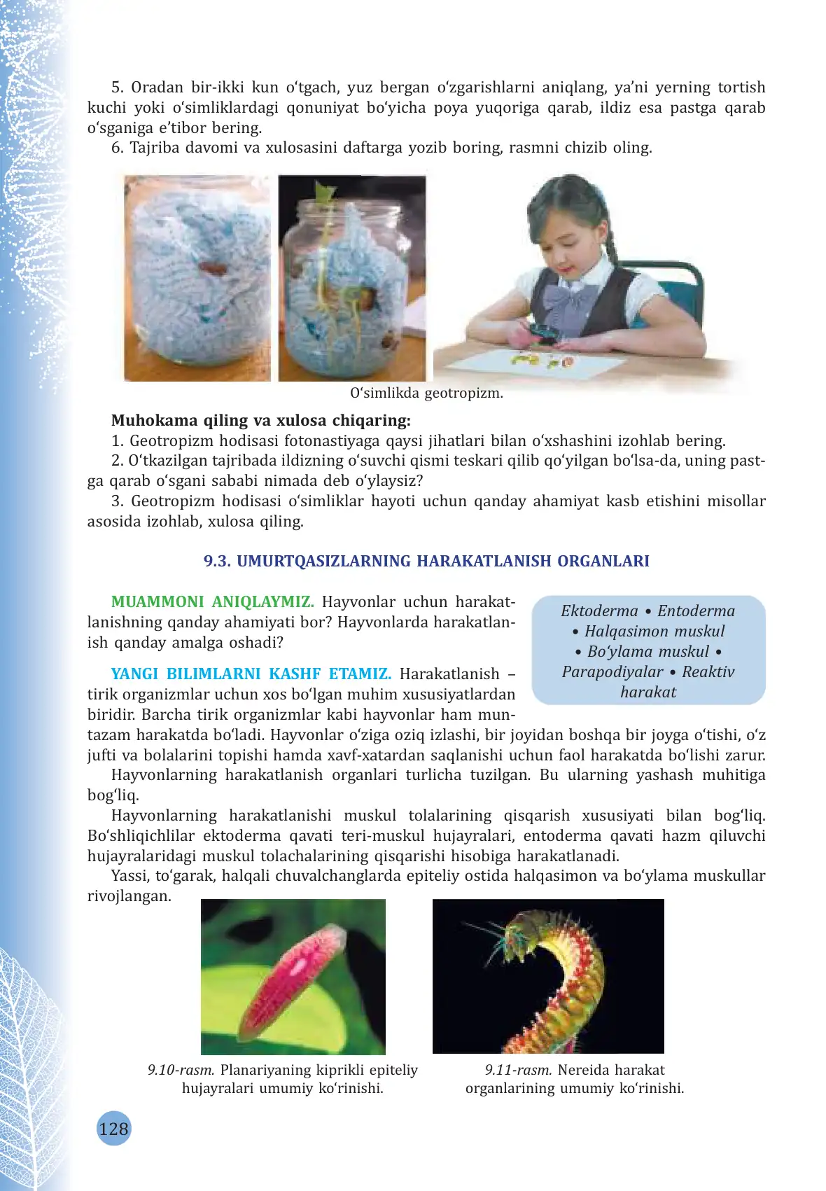 Umurtqasizlarning harakatlanish organlari