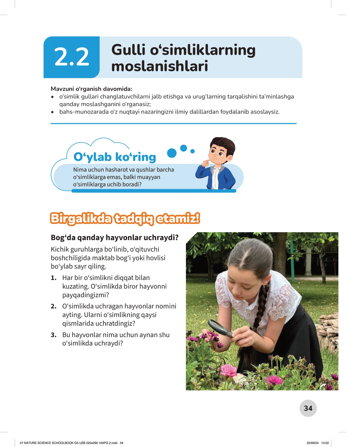 Gulli o'simliklarning moslanishlari