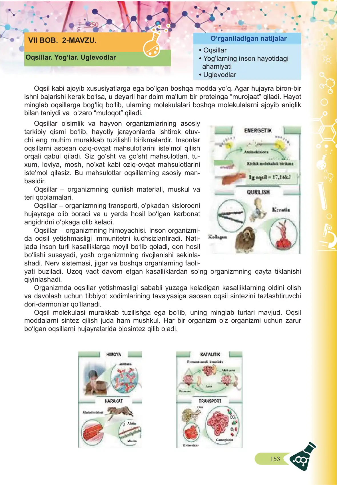 Oqsillar. yog‘lar. uglevodlar