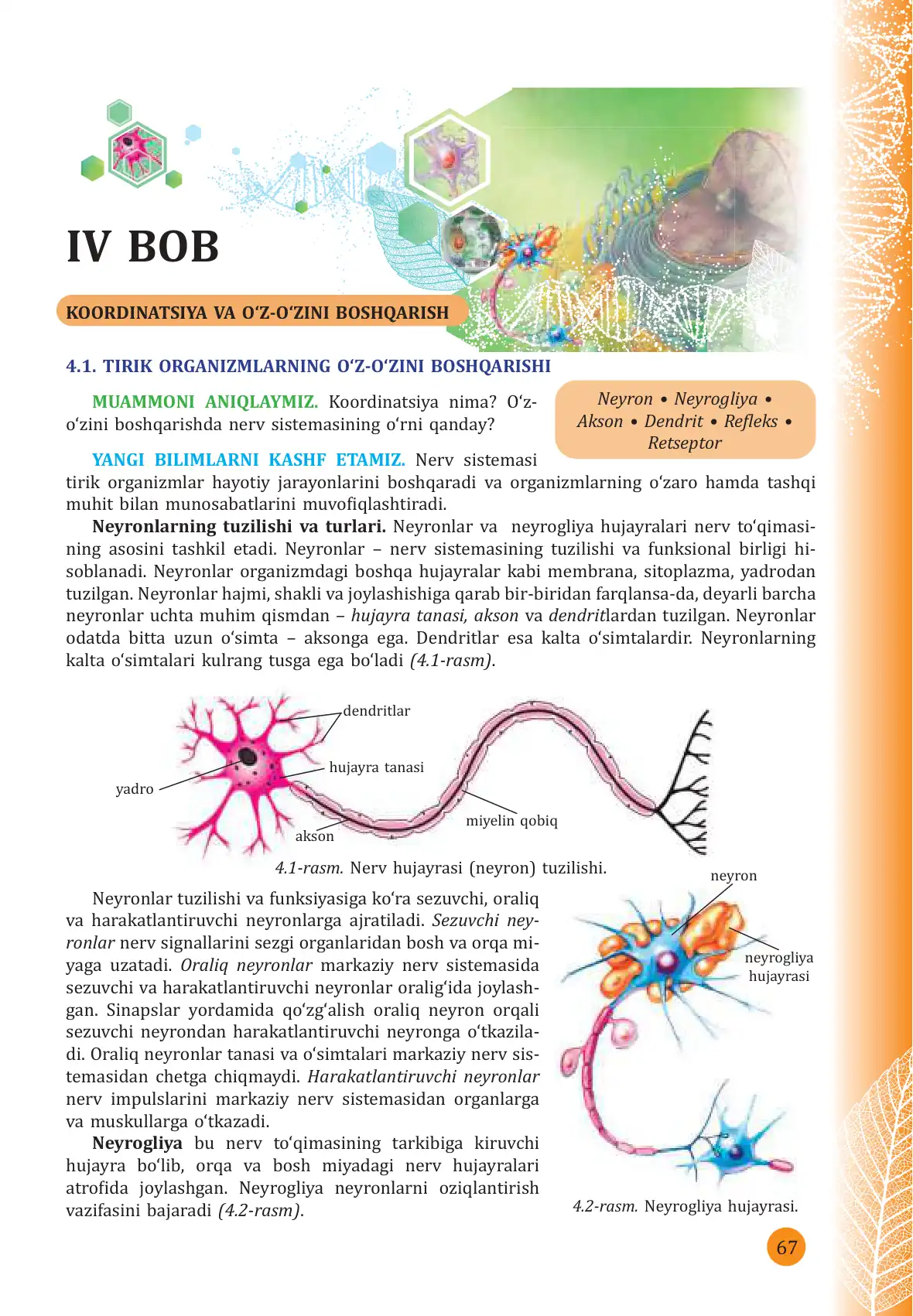 Tirik organizmlarning o'z-o'zini boshqarishi