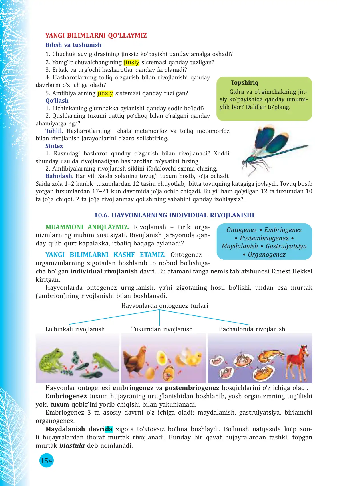 Hayvonlarning individual rivojlanishi