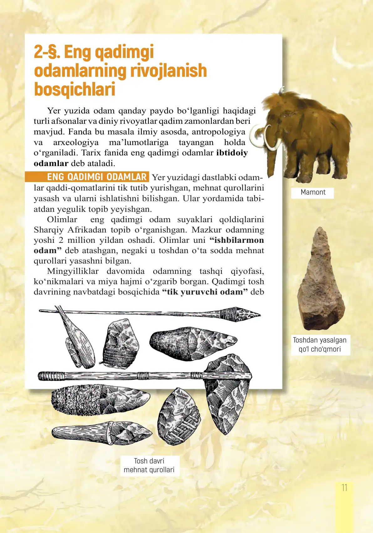 Eng qadimgi odamlarning rivojlanish bosqichlari