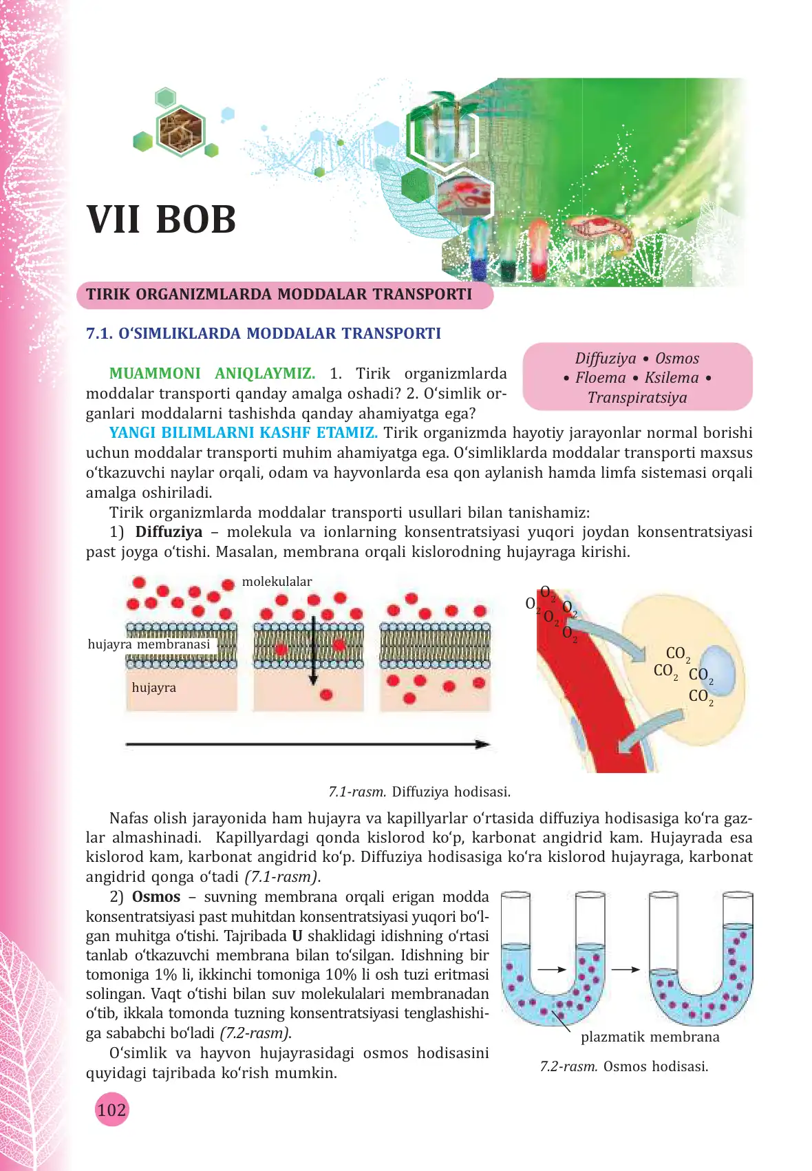O'simliklarda moddalar transporti