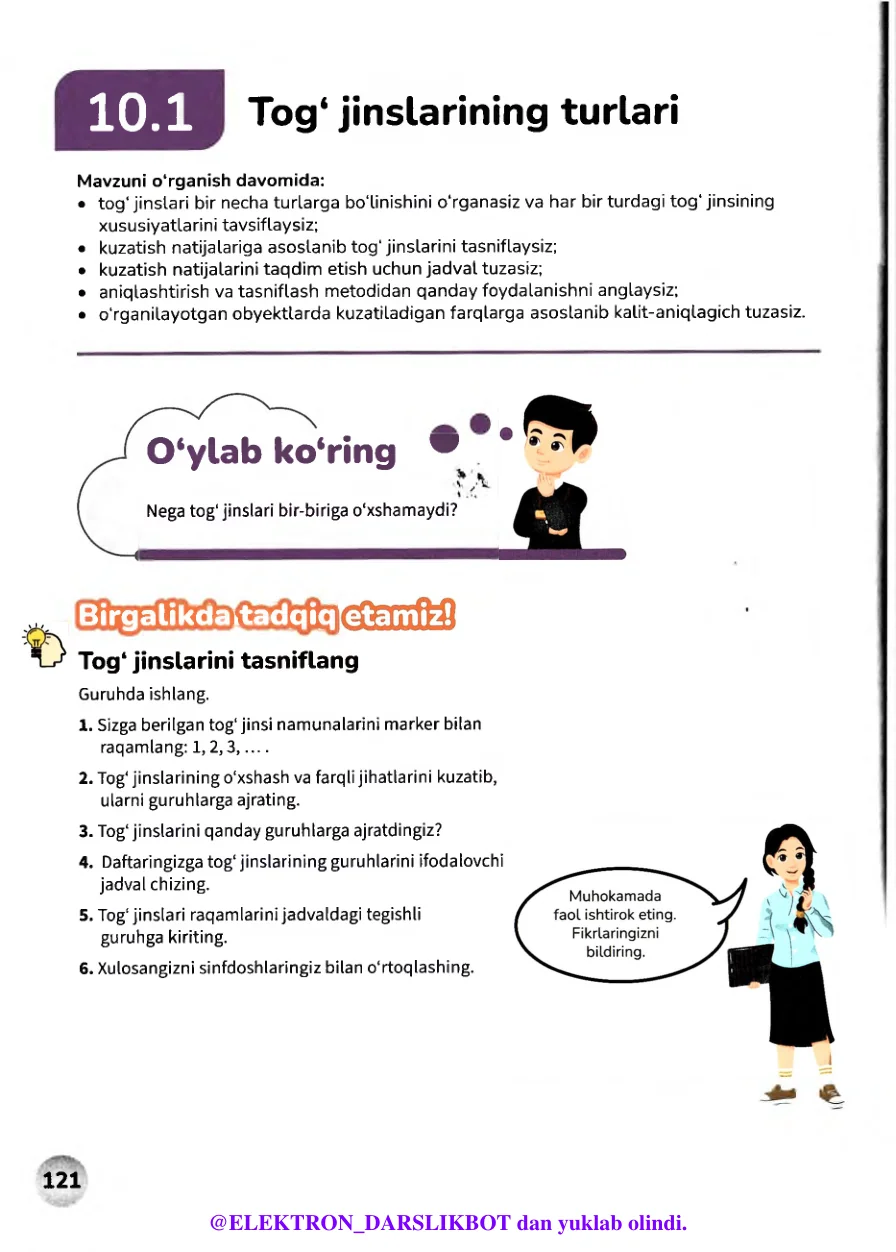 Tog' jinslarining turlari