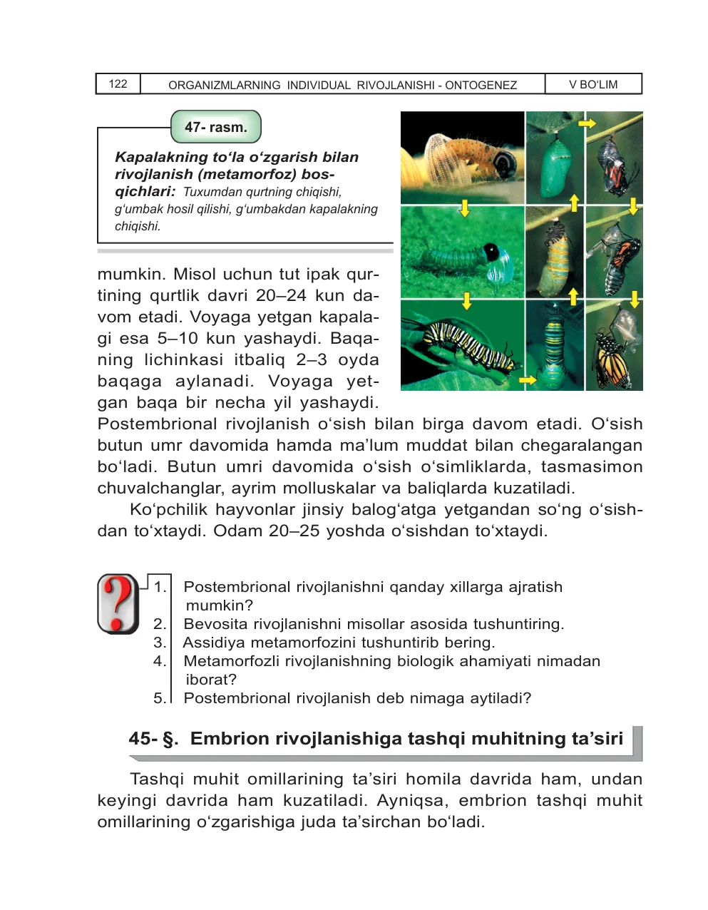 Embrion rivojlanishiga tashqi muhitning ta’siri