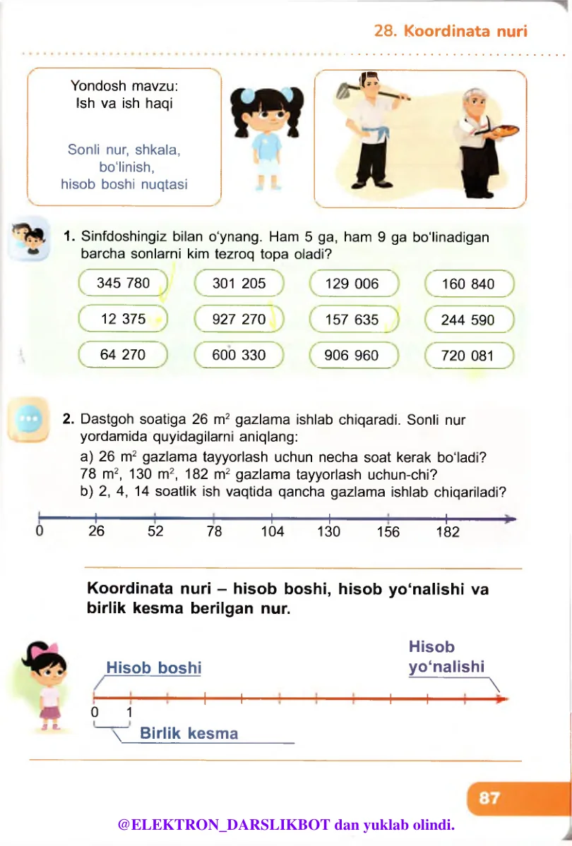 Koordinata nuri
