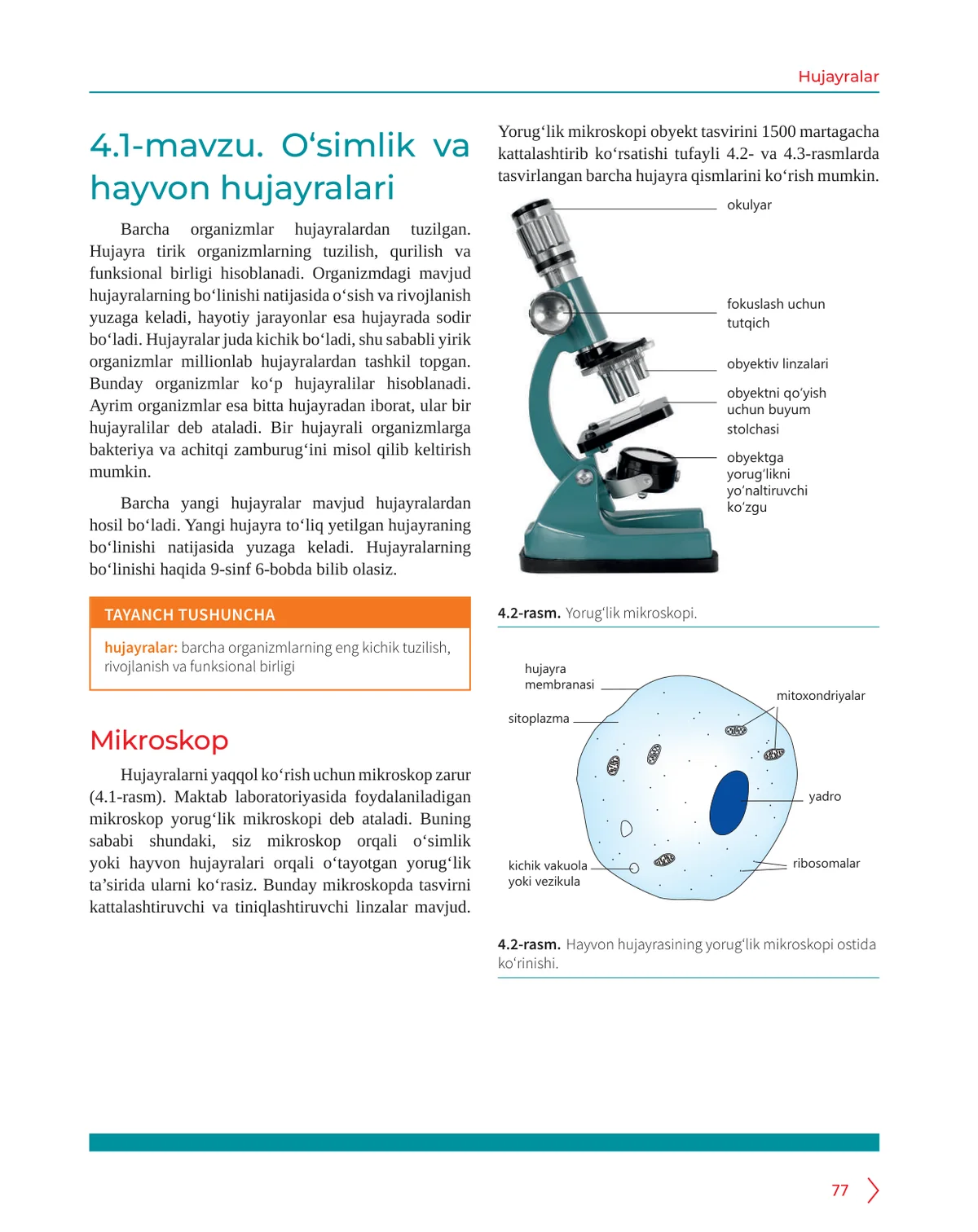 O‘simlik va hayvon hujayralari