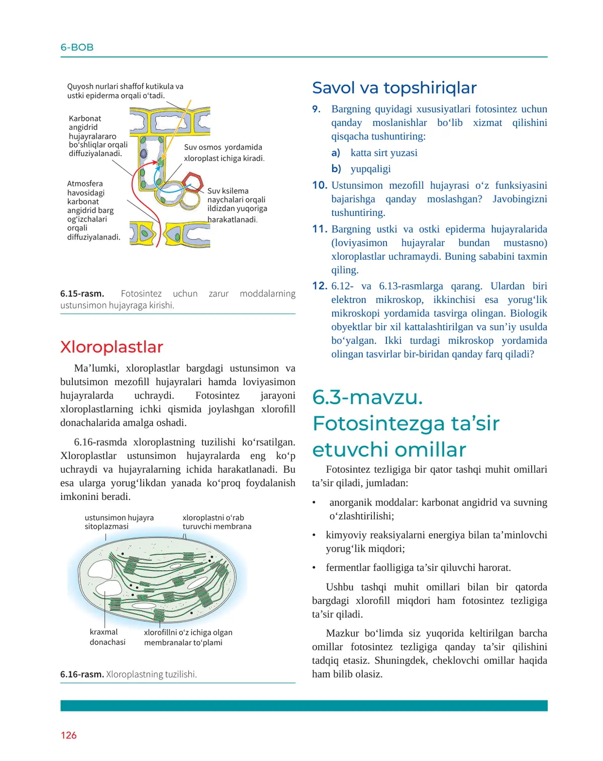 Fotosintezga ta’sir etuvchi omillar