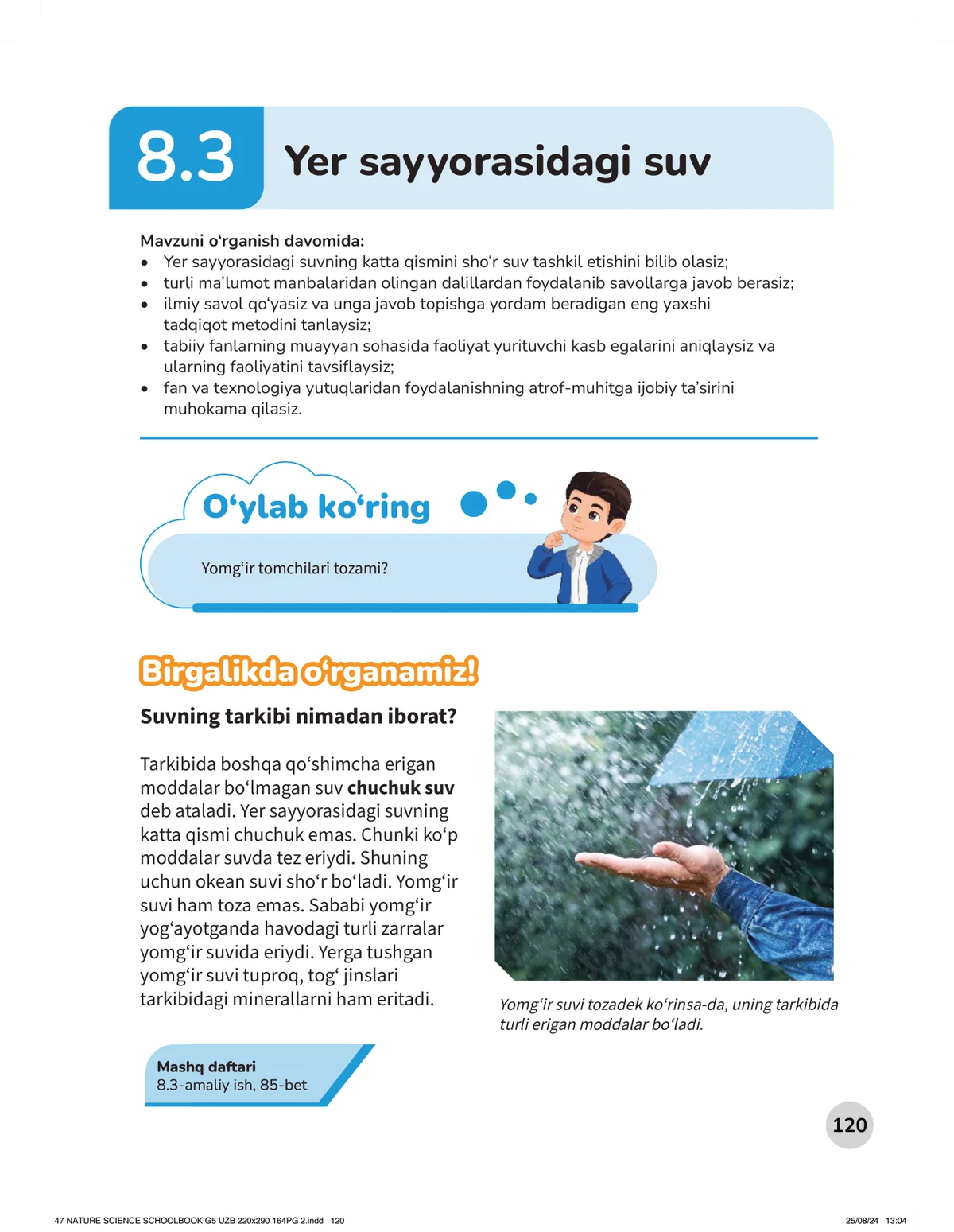 Yer sayyorasidagi suv