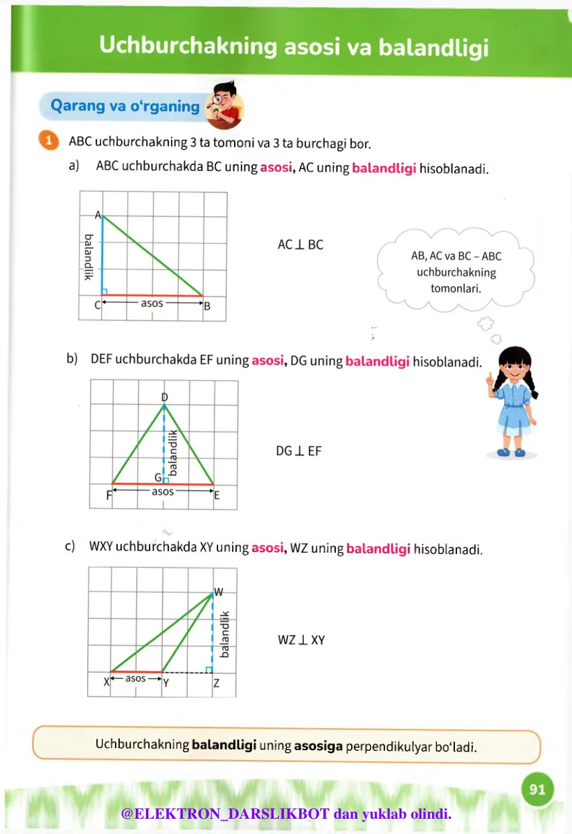 Uchburchakning asosi va balandligi