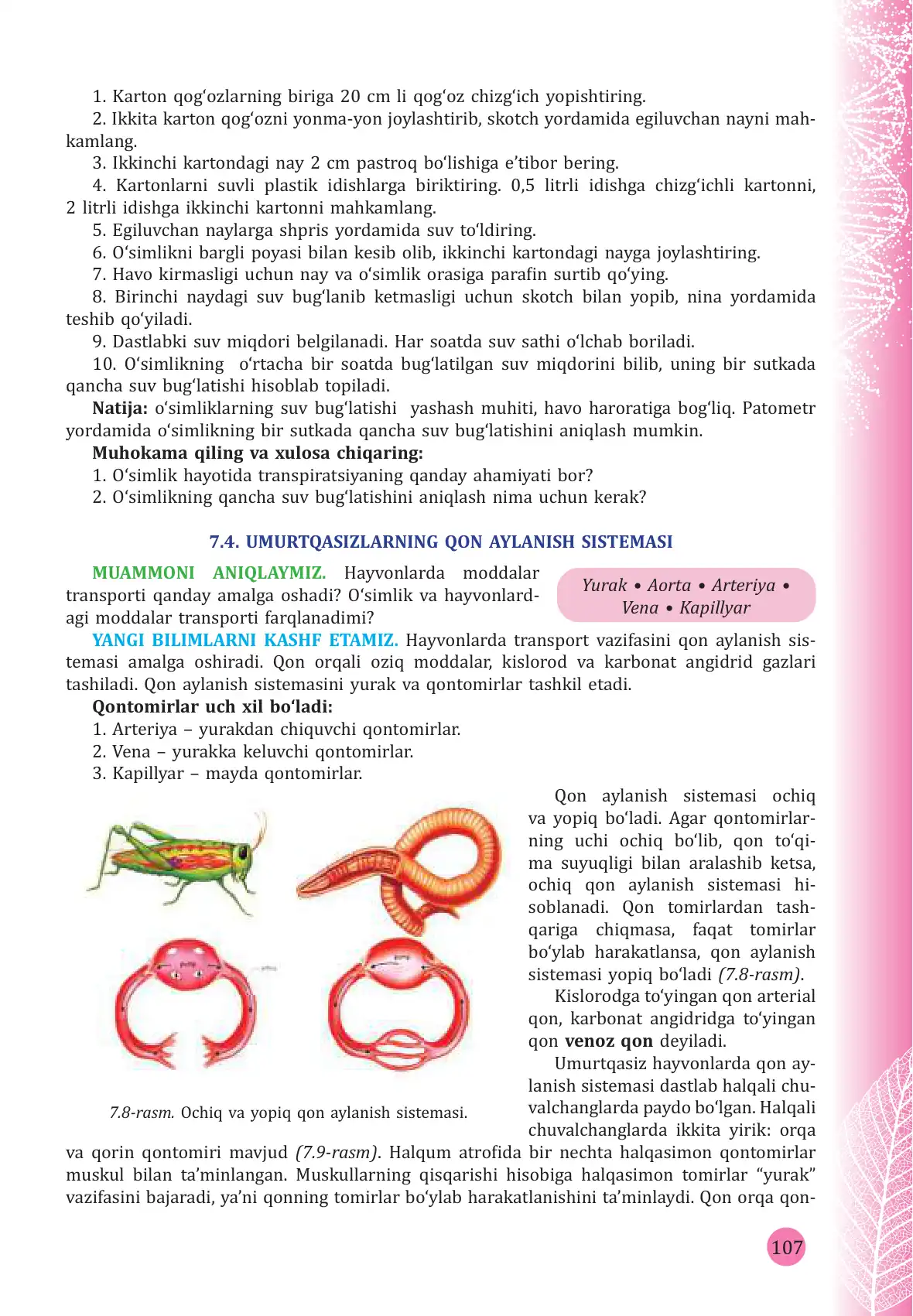 Umurtqasizlarning qon aylanish sitemasi