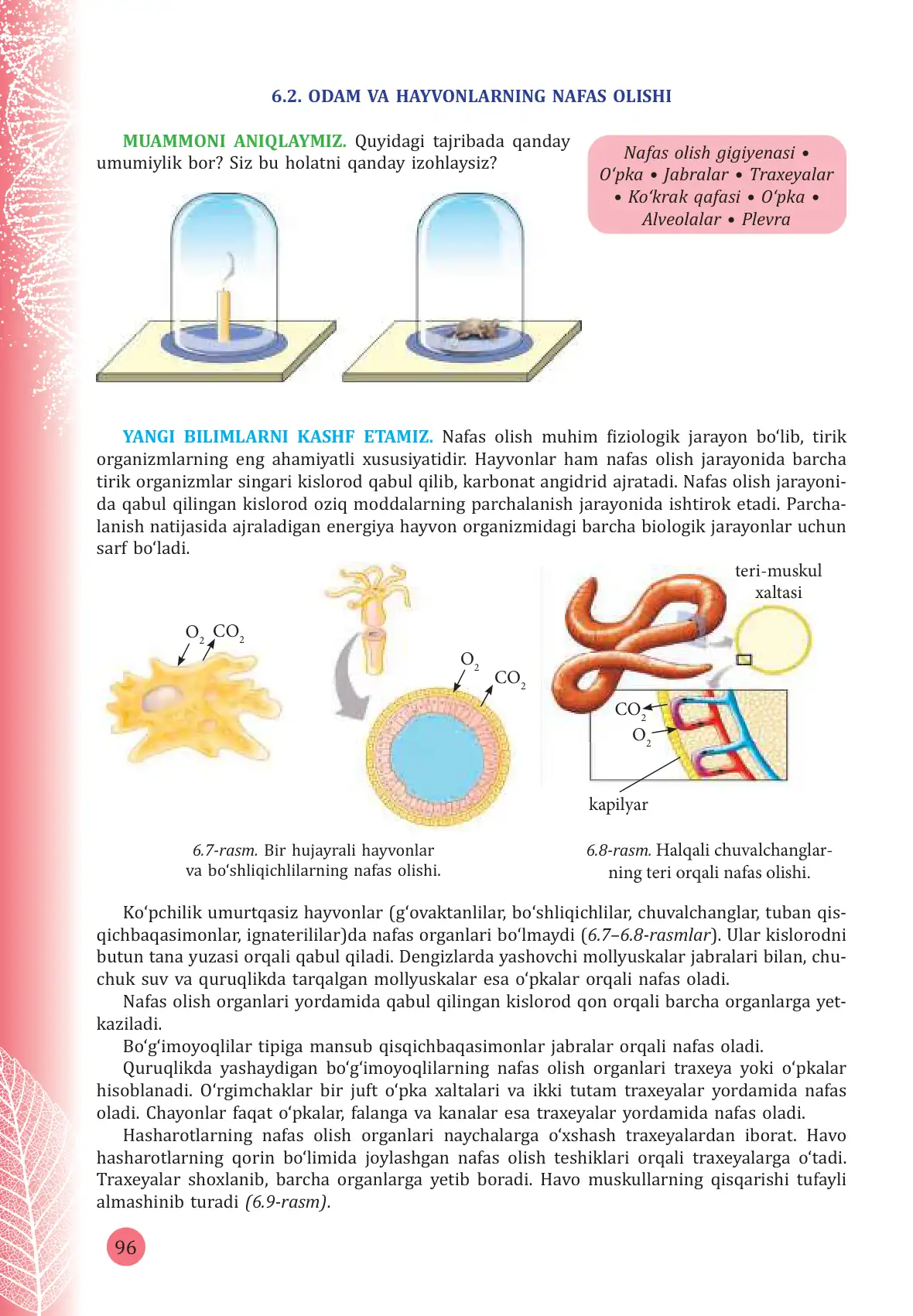 Odam va hayvonlarning nafas olishi