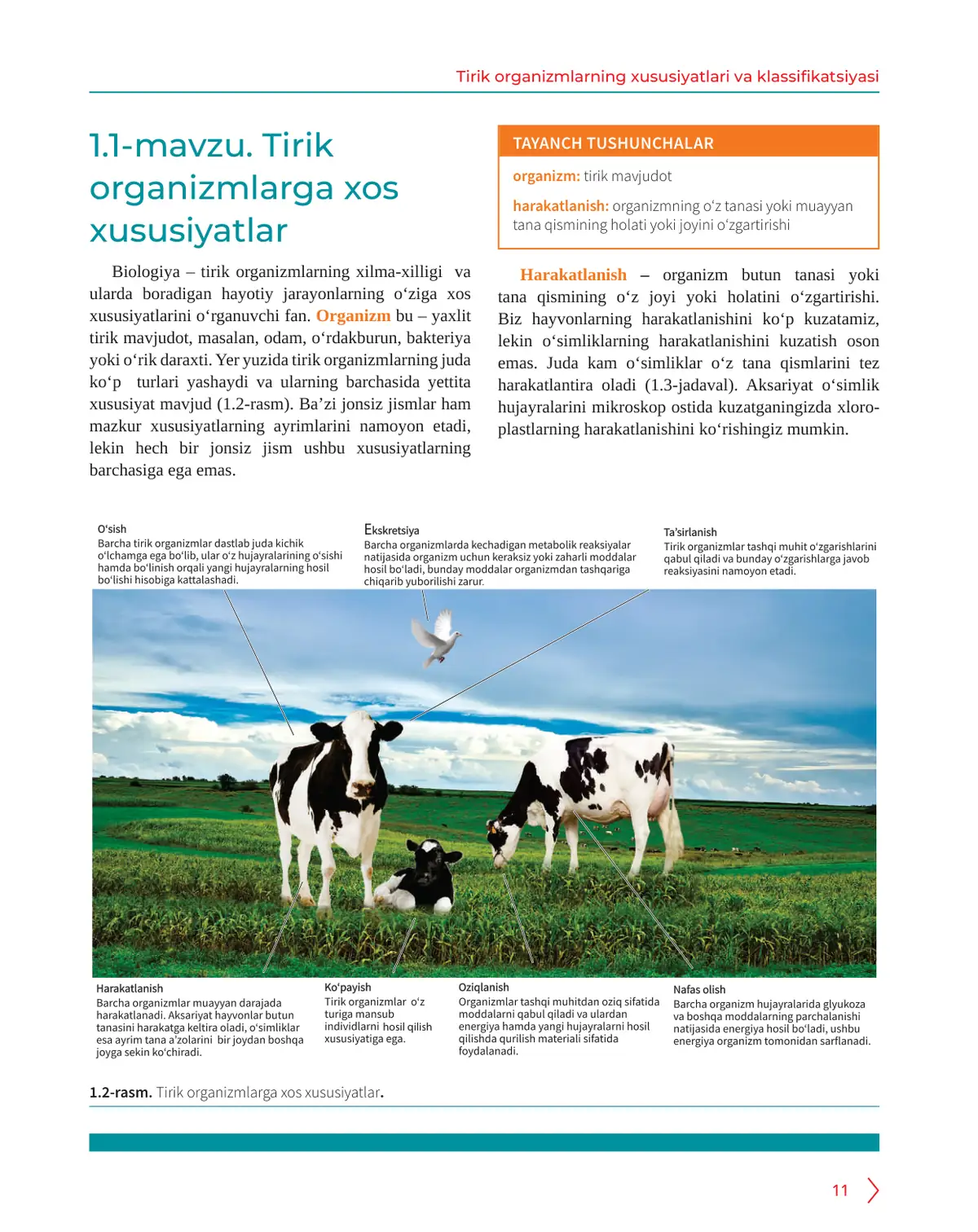 Tirik organizmlarga xos xususiyatlar