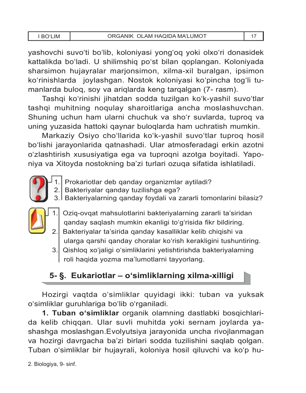 Eukariotlar – o‘simliklarning xilma-xilligi