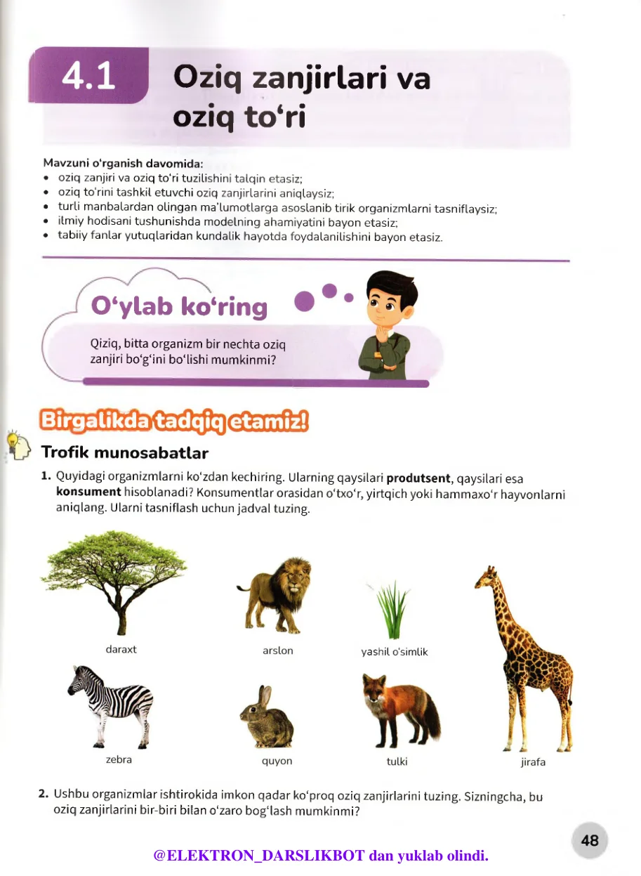 Oziq zanjirlari va oziq to'ri