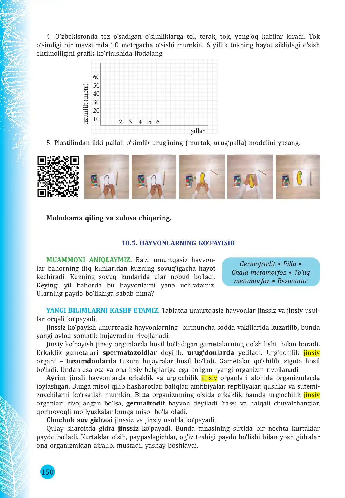 Hayvonlarning ko'payishi