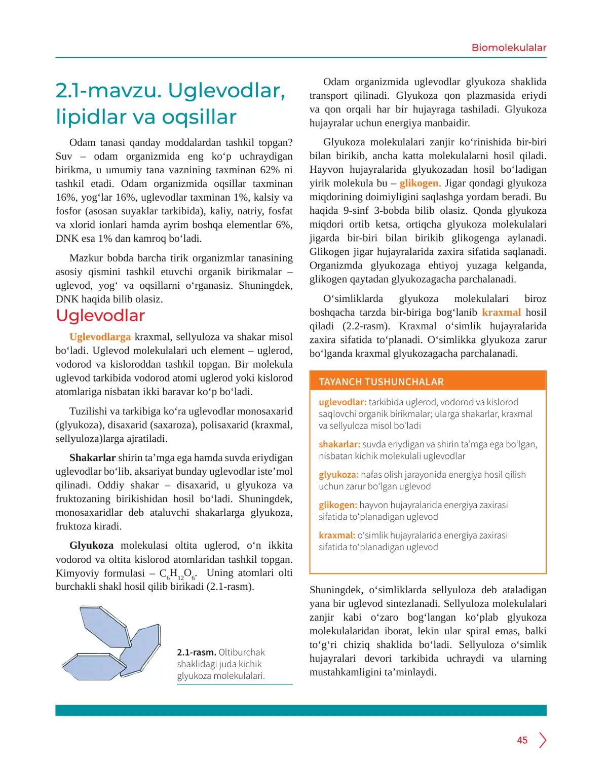 Uglevodlar, lipidlar va oqsillar