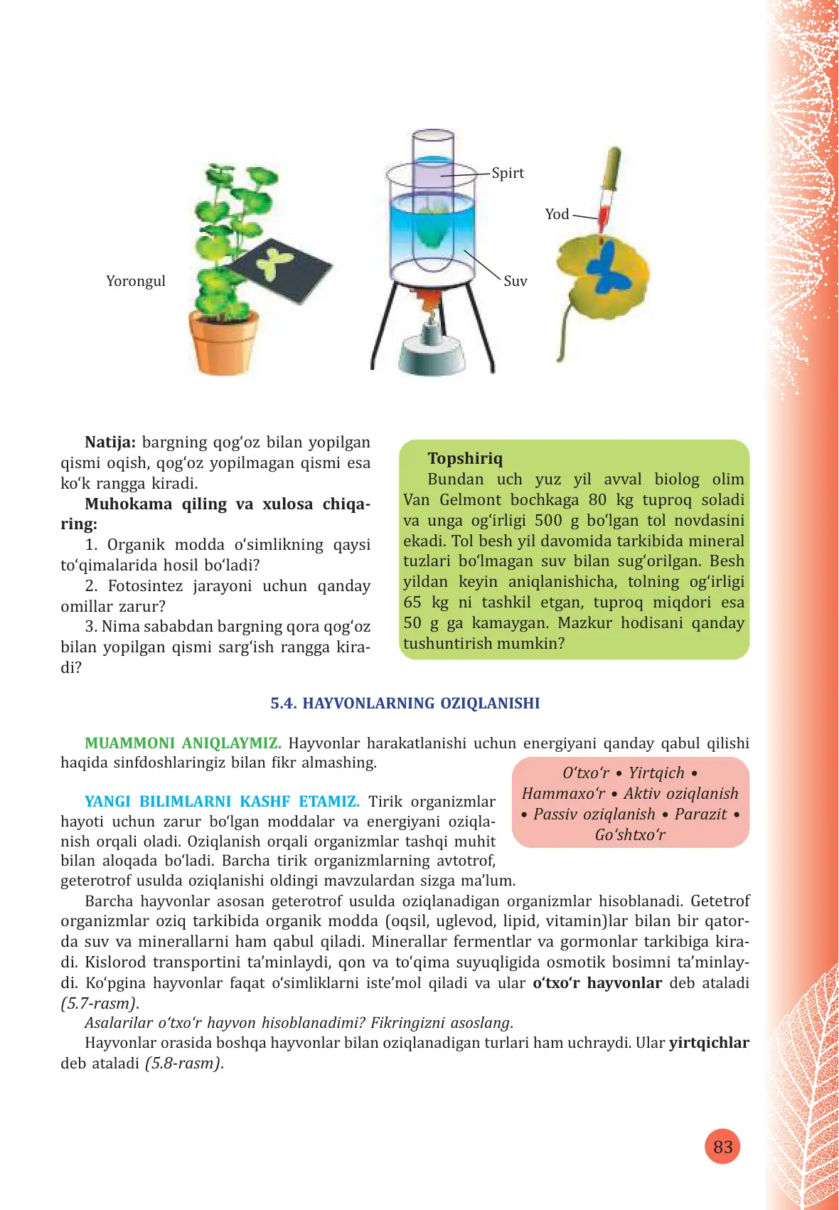 Hayvonlarning oziqlanishi