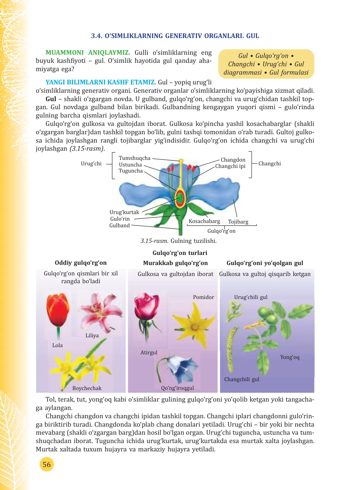 O'simliklarning generativ organlari. Gul
