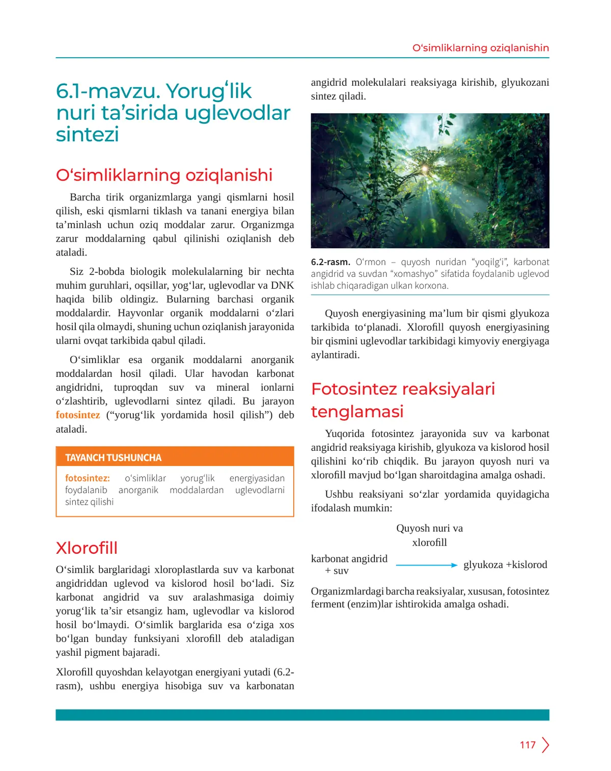 Yorug‘lik nuri ta’sirida uglevodlar sintezi