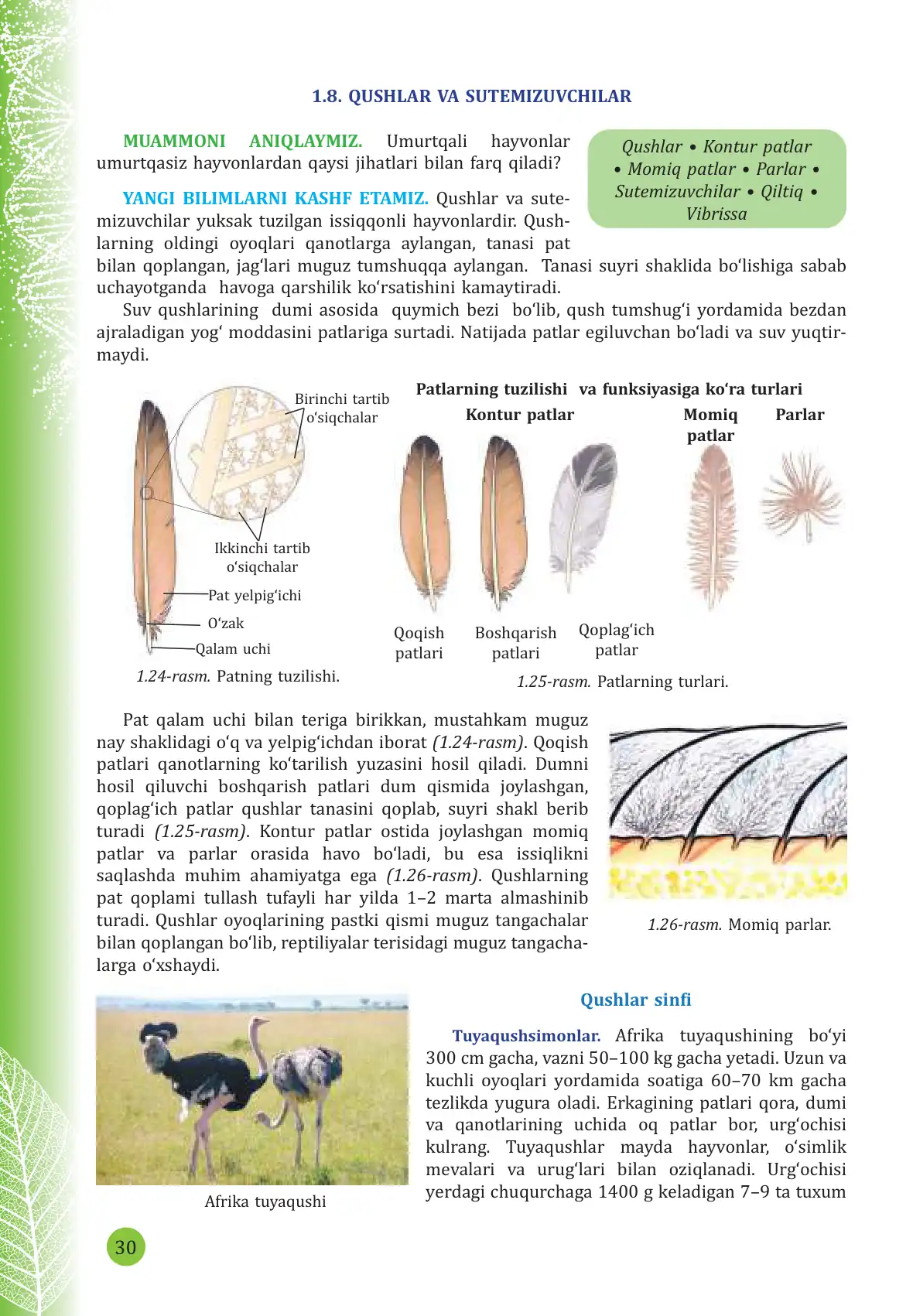 Qushlar va sutemizuvchilar