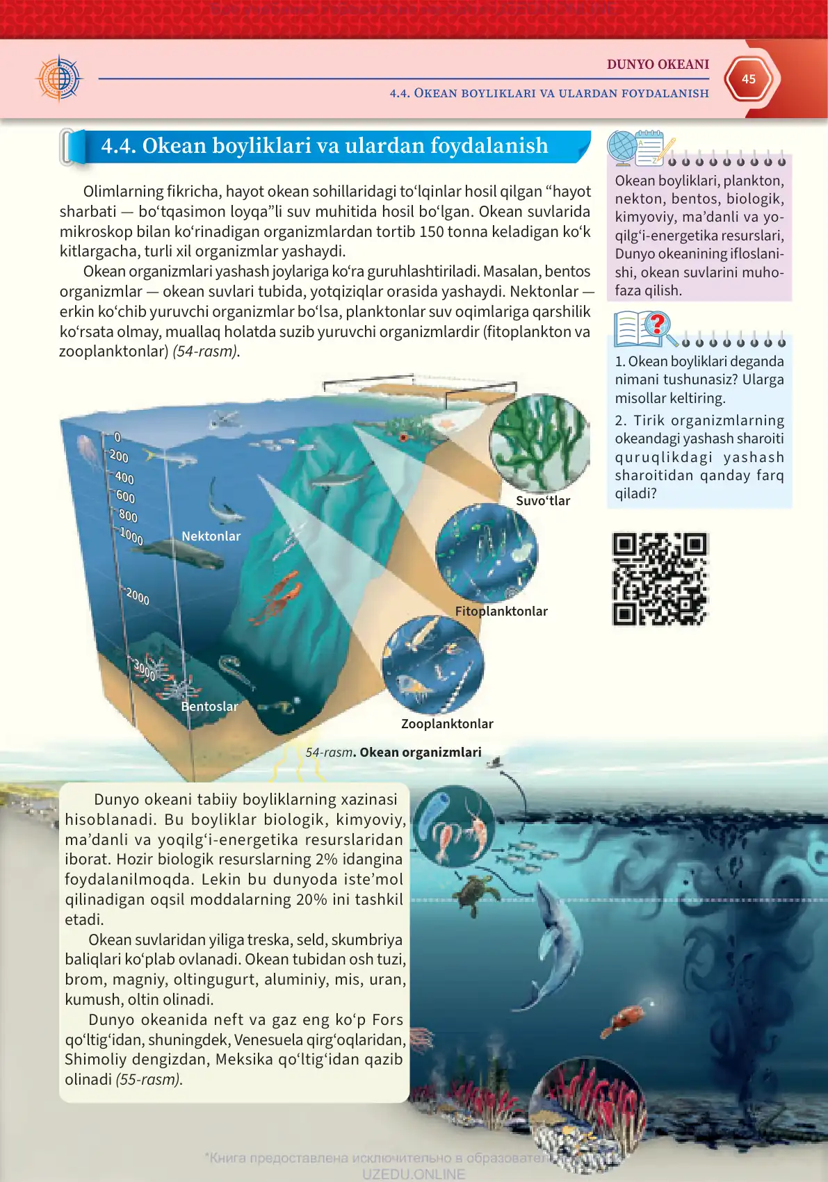 Okean boyliklari va ulardan foydalanish