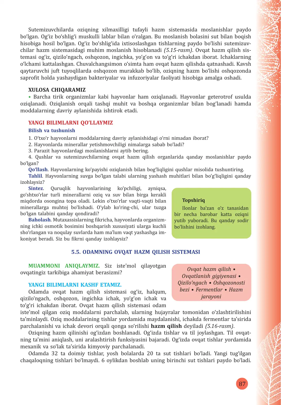 Odamning ovqat hazm qilish sistemasi