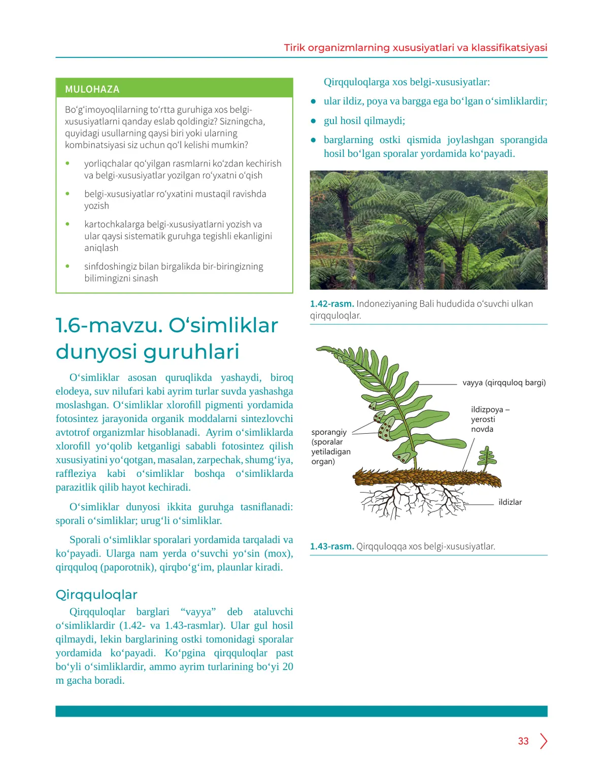 O‘simliklar dunyosi guruhlari