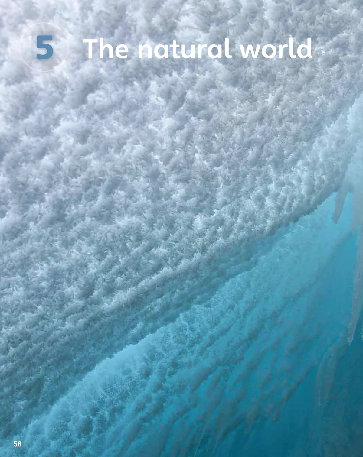 The natural world