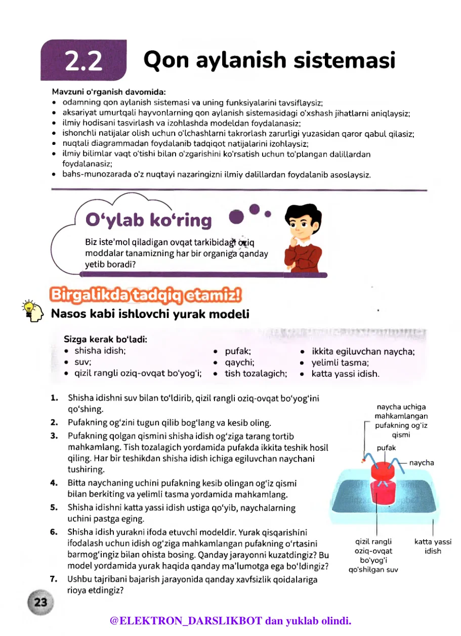 Qon aylanish sistemasi