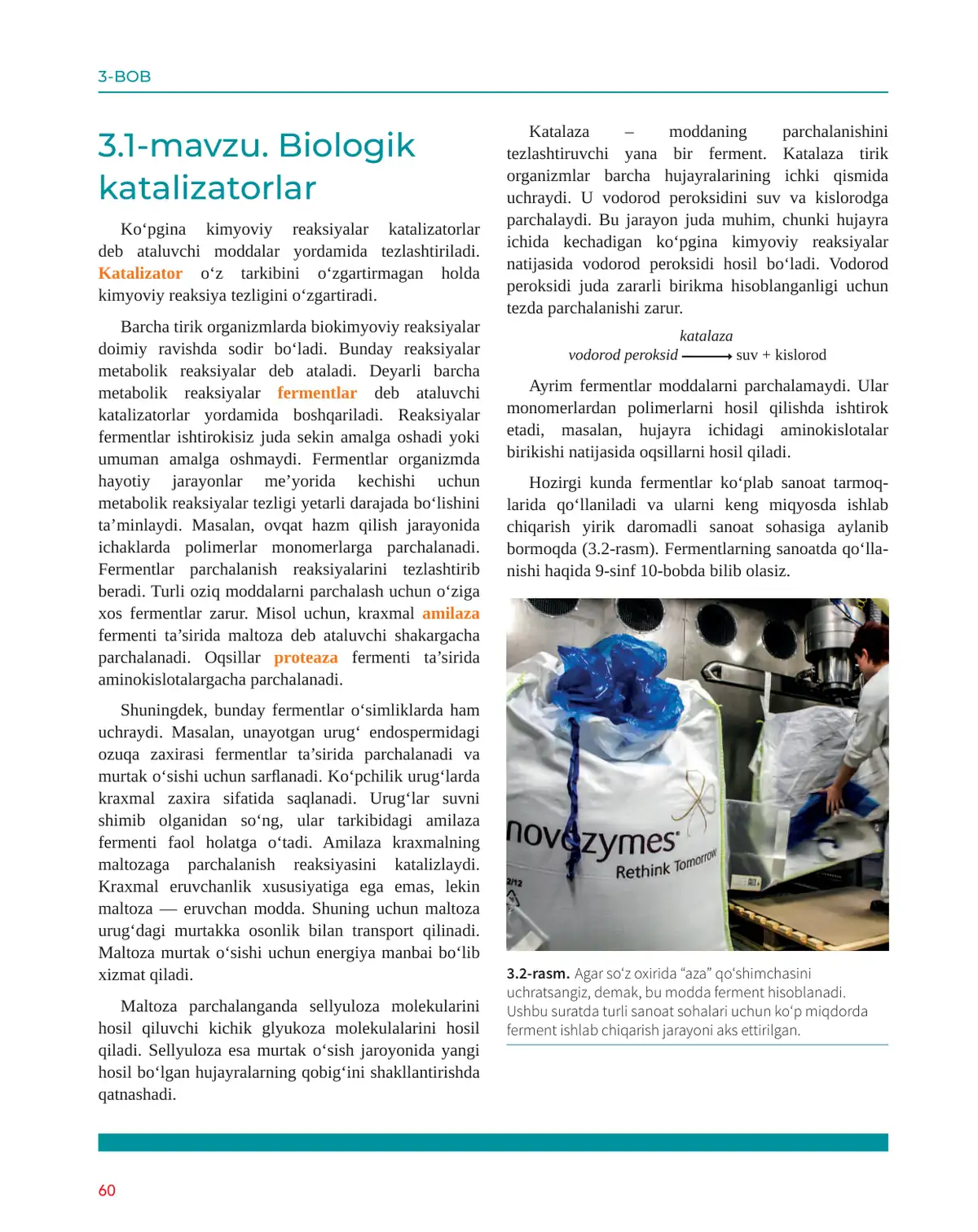 Biologik katalizatorlar