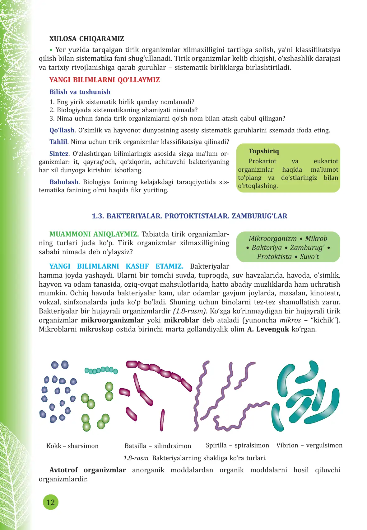 Bakteriyalar, protoktistalar, zamburug'lar