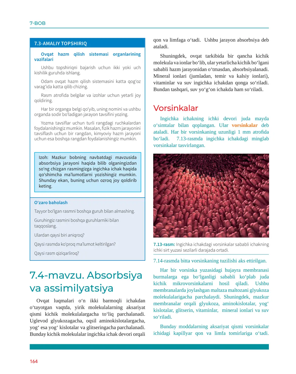 Adsorbsiya va assimilyatsiya